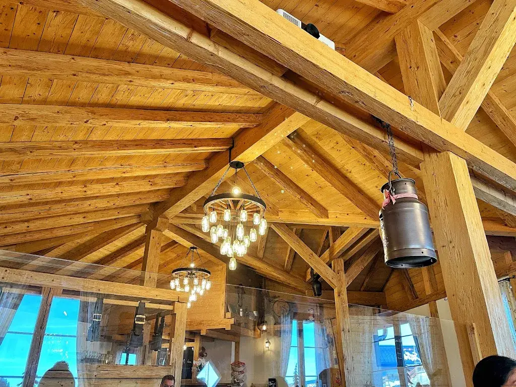 Jansen_Mostler's Q-HOF_Sattel_recensione