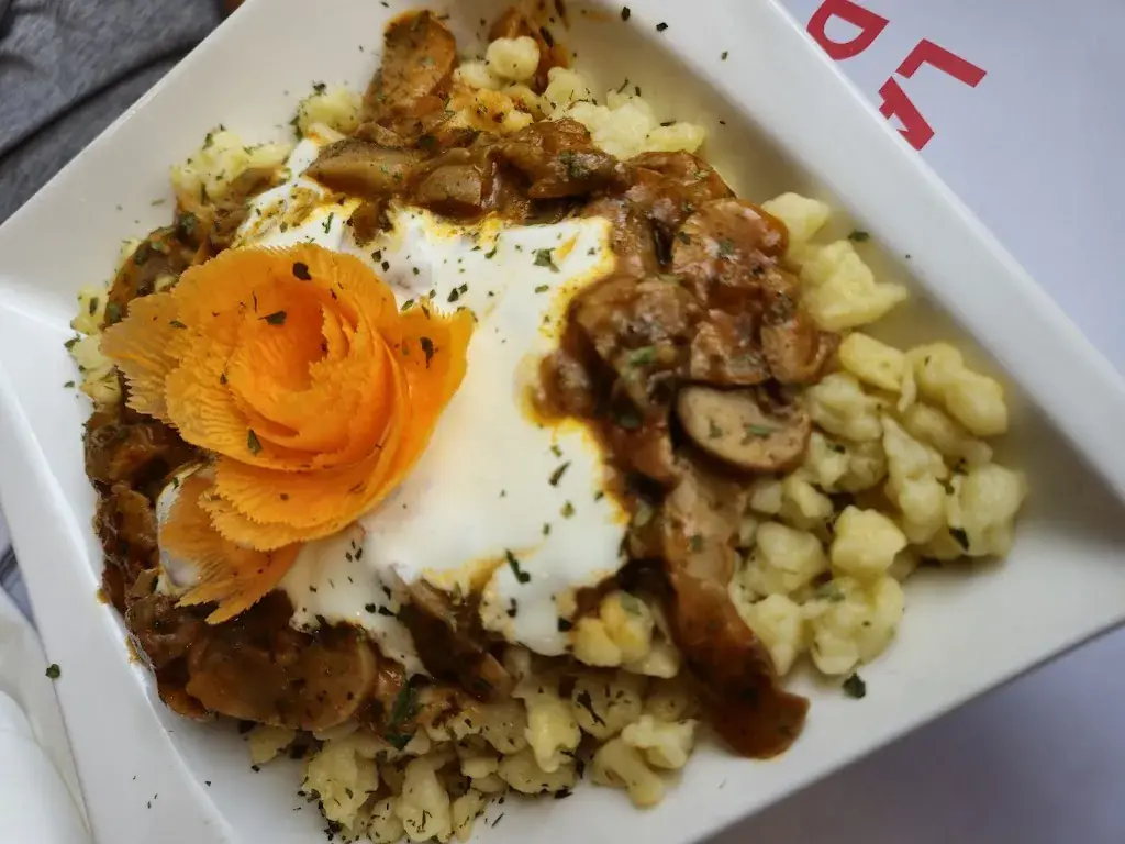 Dog Travel_Restaurant Schornen_Sattel_recensione