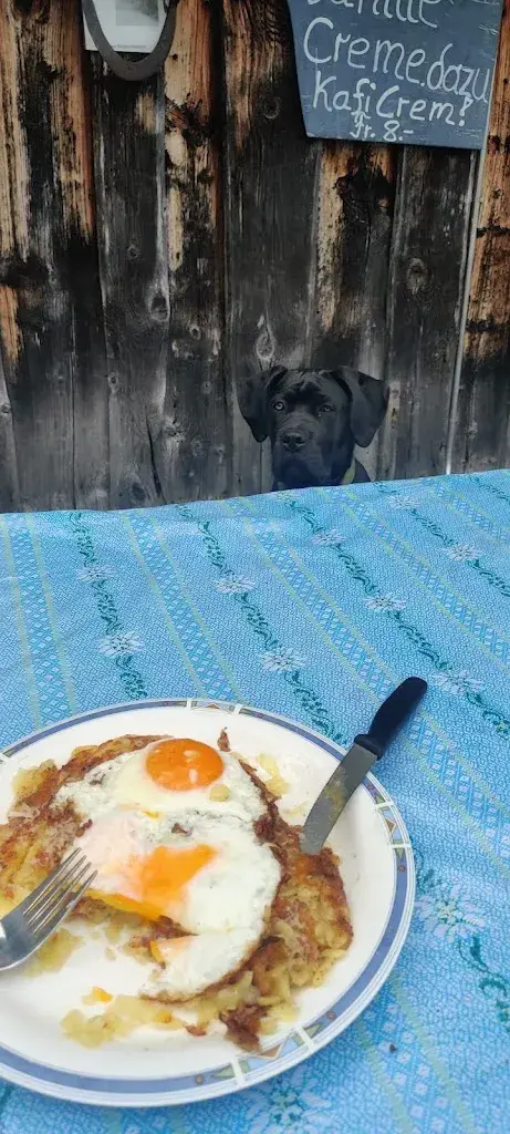 Menu_Alpwirtschaft Schornenrain_Sattel_image_3