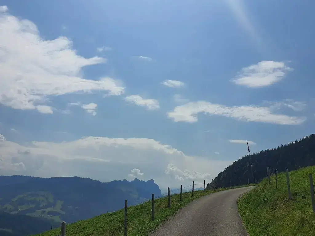 Virginia Sigrist_Ramenegg_Sattel_avis