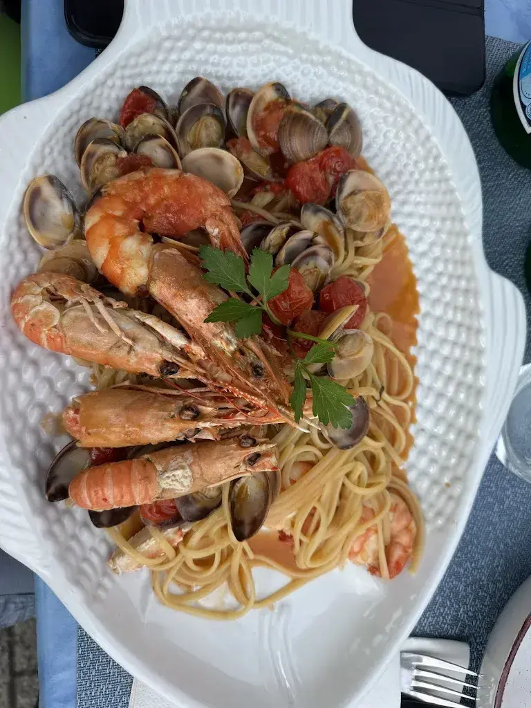 Archie Red_Time Out_Ibach_avis