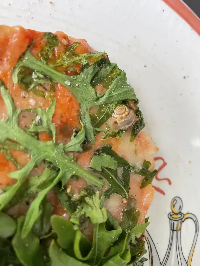 Jan Lange_Time Out_Ibach_avis