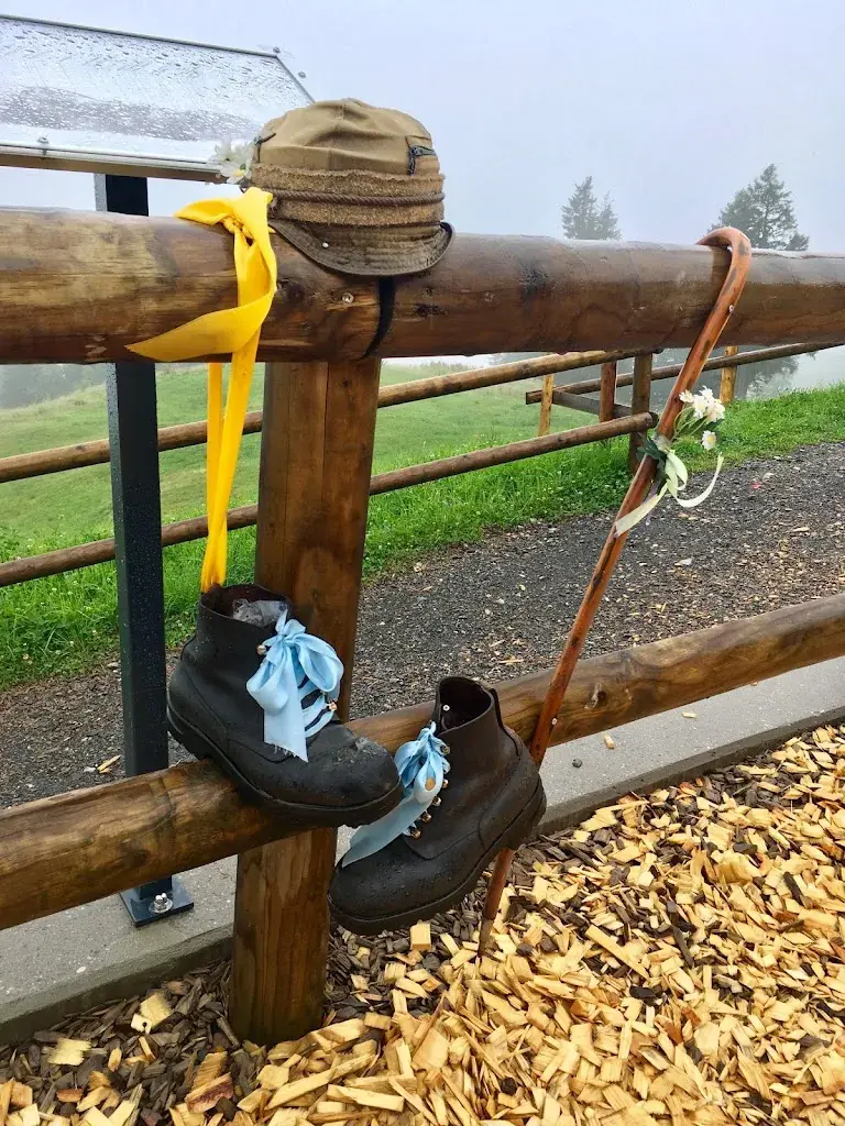 Delaney Steel_Gipfelstubli_Rickenbach b_review