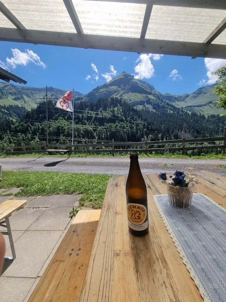 Maximilian Z_Arnischwand_Giswil_avis