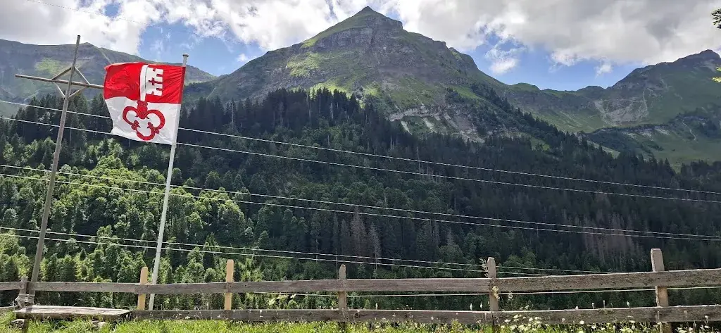 Thomas Kohler_Arnischwand_Giswil_avis