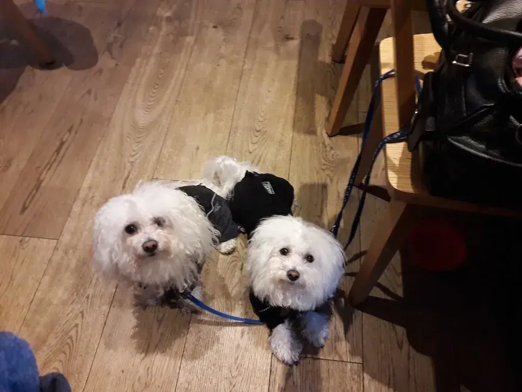 Marianne Christen_Q_Sarnen_avis