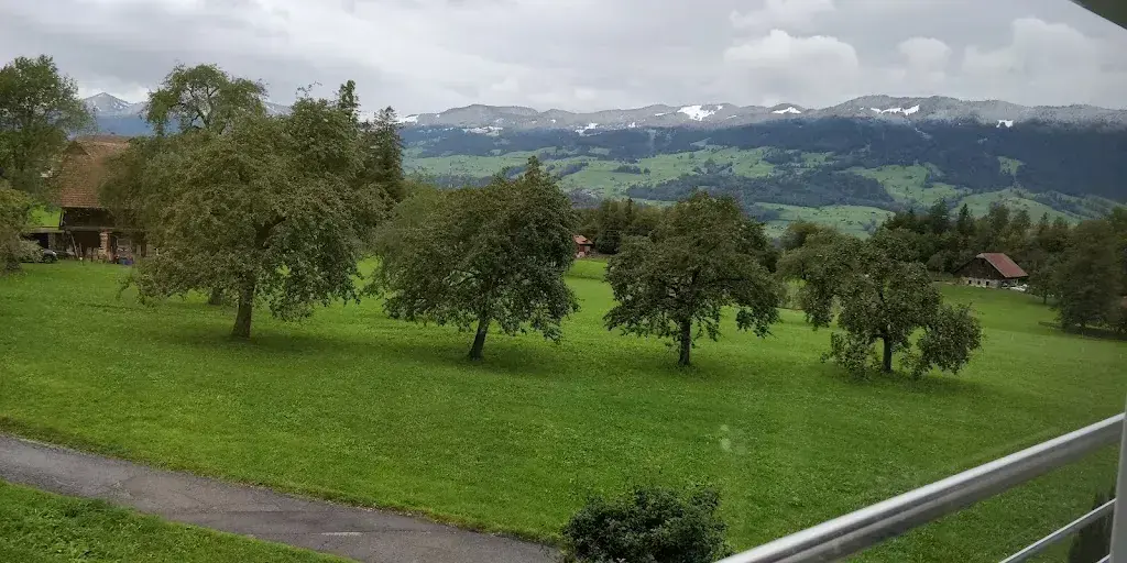 Nalini Rayabhagi_Hotel Klausenhof Flueli-Ranft_Flüeli-Ranft_review