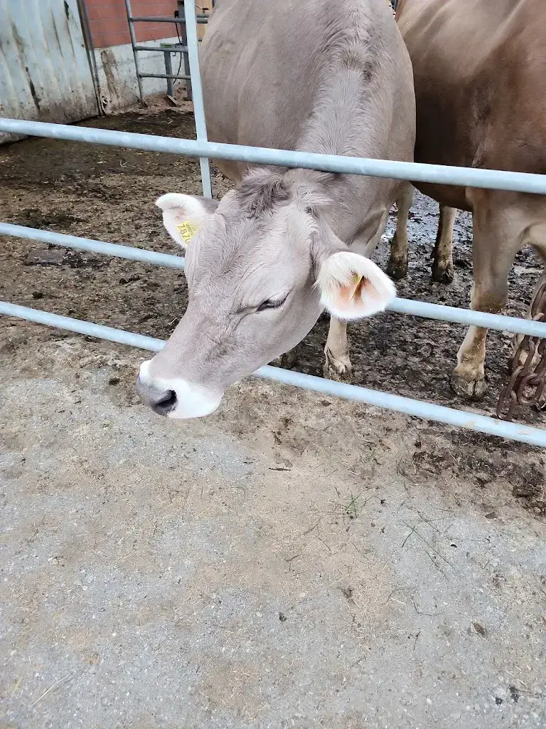 Bob “Bob” Wiedeke_Hotel FlüeMatte GmbH_Sachseln_review