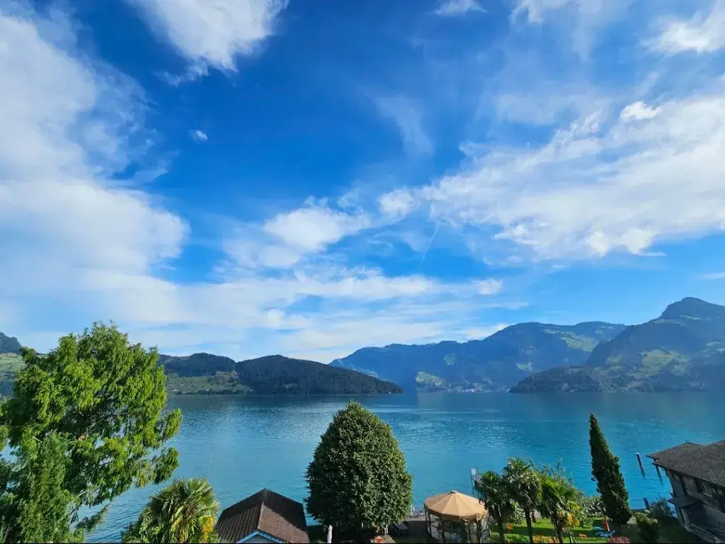 Baljit Chana_Hotel Restaurant Seerausch_Beckenried_review