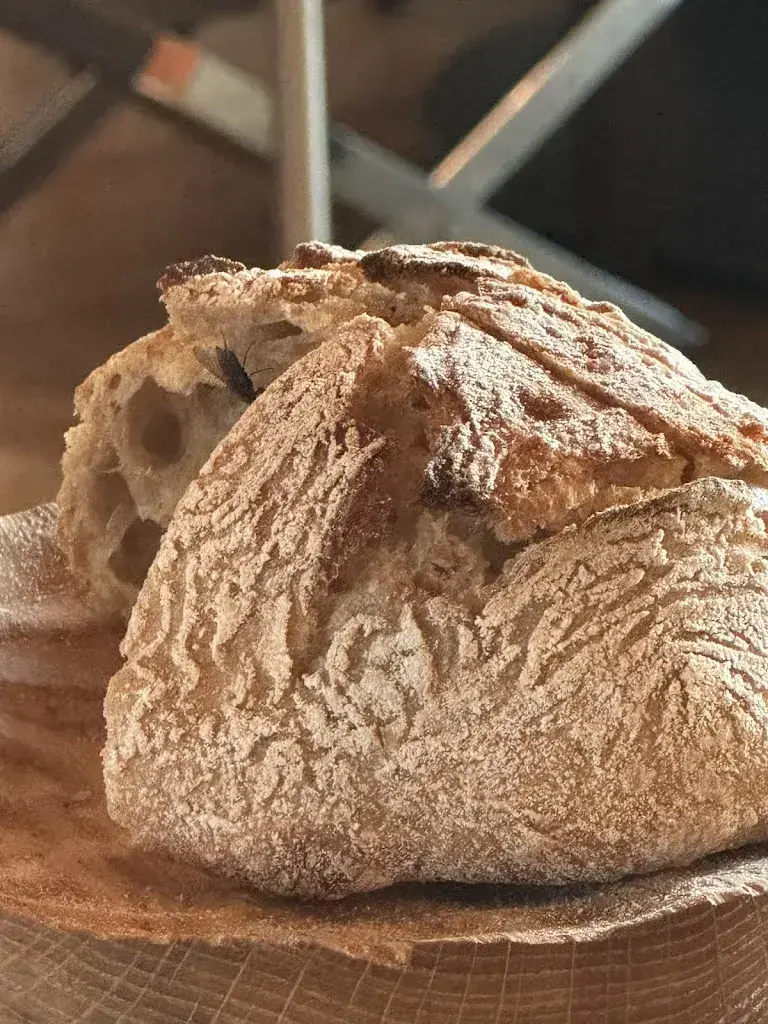 Amy Green_Oak Grill & Pool Patio_Obbürgen_review