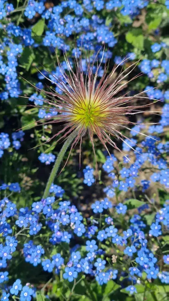 Daniela Dorneanu_Taverna Thessaloniki_Glarus_review