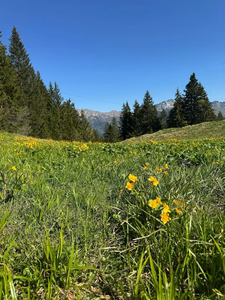 Snjezana Kuzmanovic_Sportbahnen Kerenzerberg GmbH_Filzbach_avis