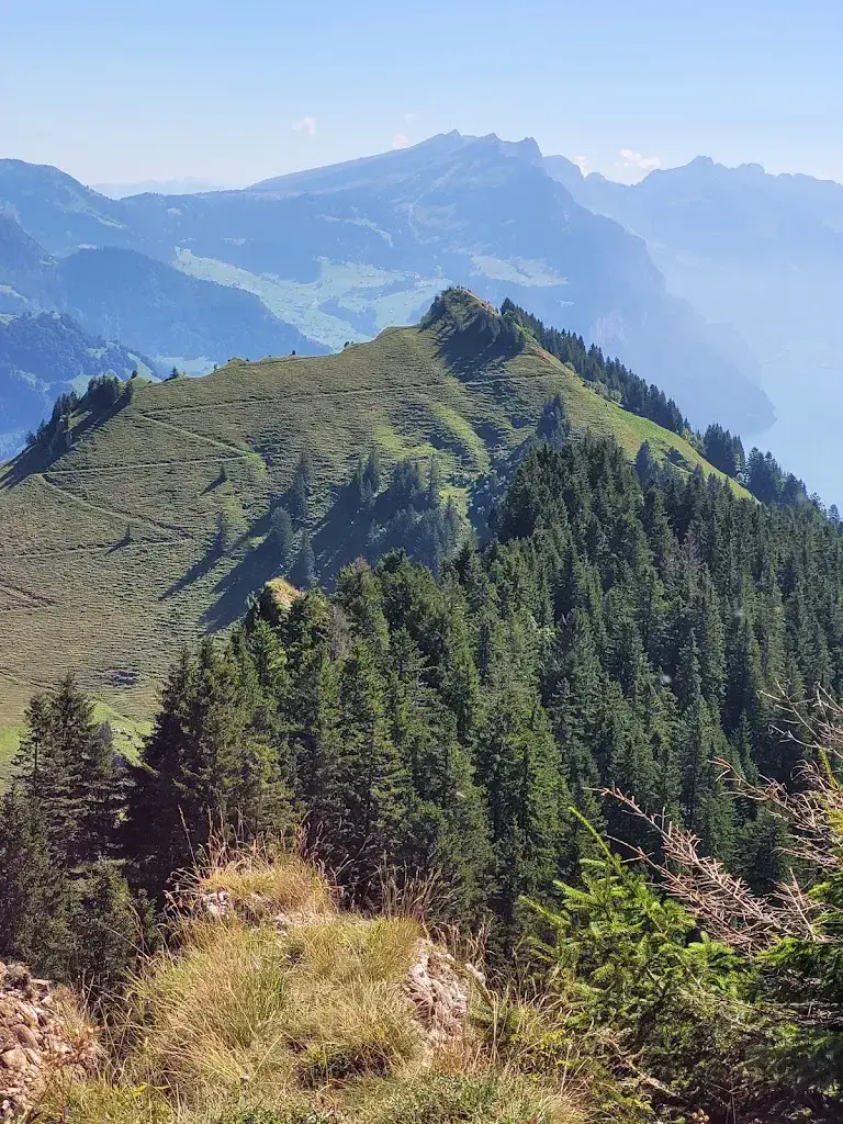 Erika_Bergrestaurant Hirzli_Niederurnen_avis