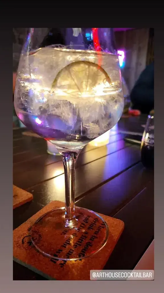 Telma Tavares_Art-House Cocktail Bar_Weesen_avis