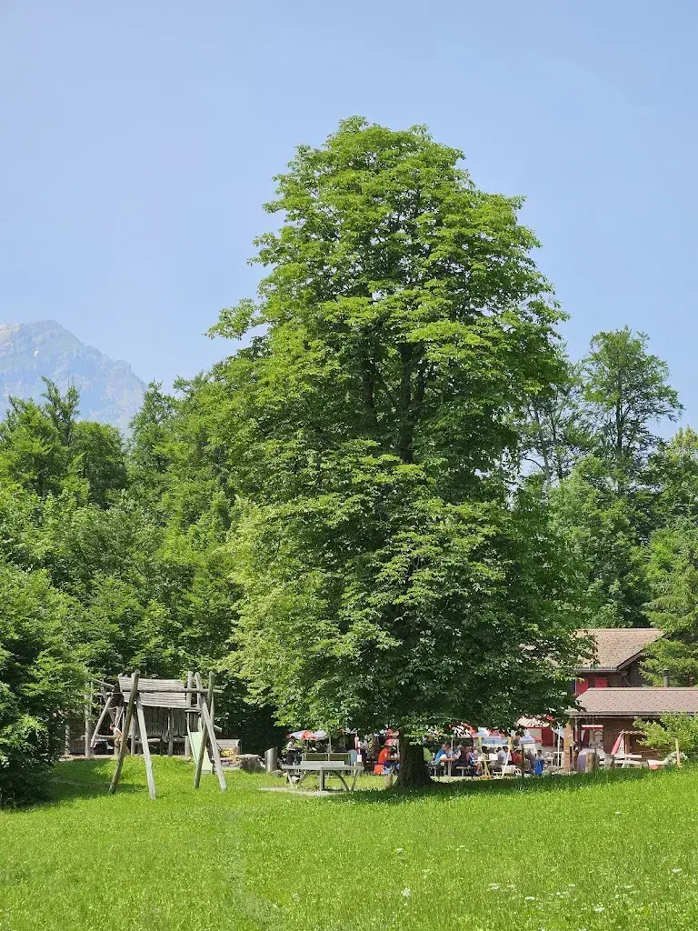Daniel Dobler_Restaurant Waldwirtschaft Uschenriet_Ennenda_avis