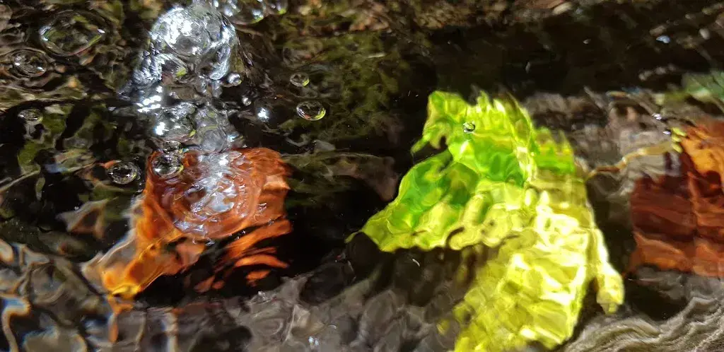 Menu_Leuggelen_Nidfurn_image_8