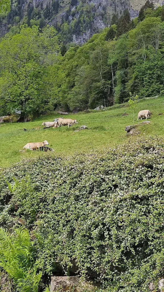 Doris Lussi_Leuggelen_Nidfurn_review