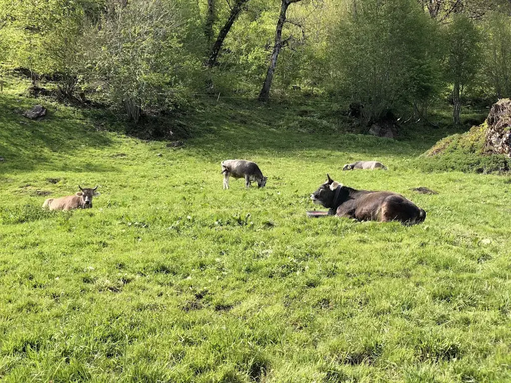 Maximilian Stange_Leuggelen_Nidfurn_review