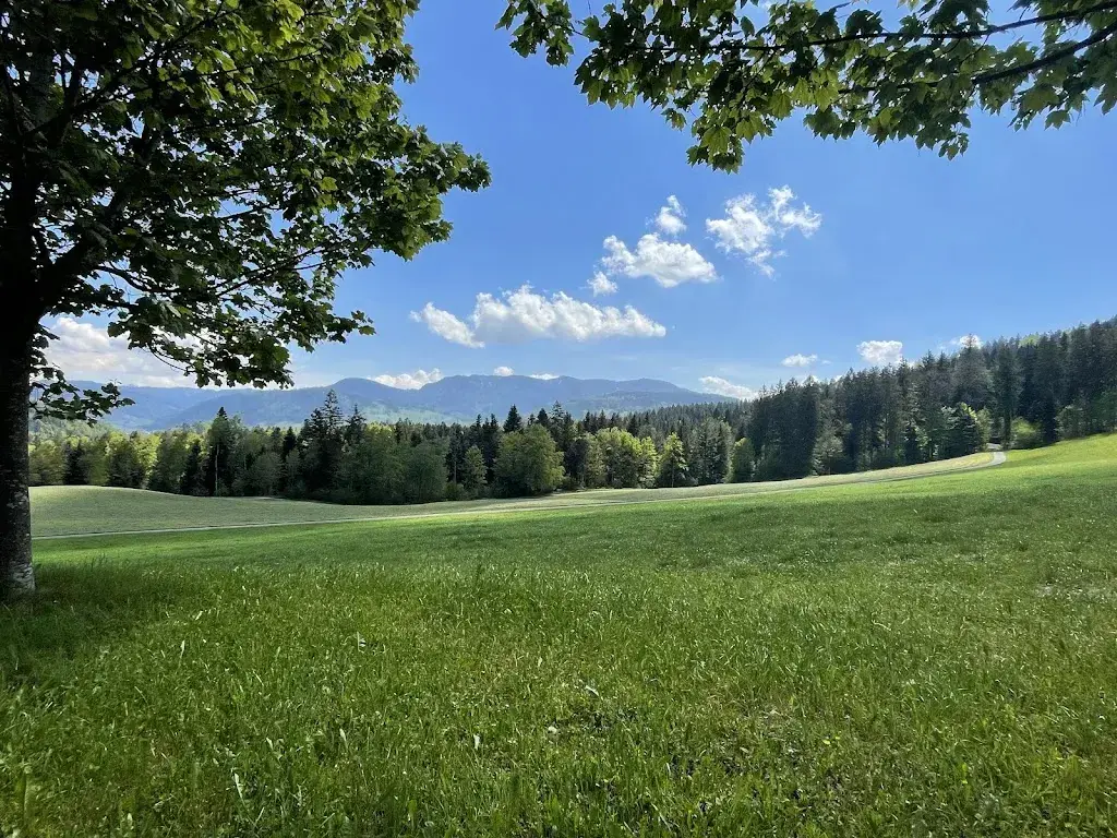 Verena FAES_Alpwirtschaft Brunegg_Baar_avis