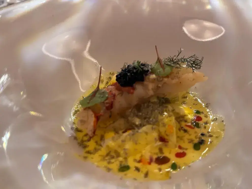 Karis Johnson_unico_Zug_review