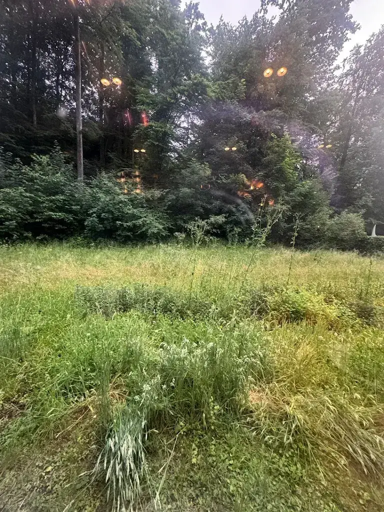 Kamales Lardi_Restaurant Secret Garden_Zug_avis