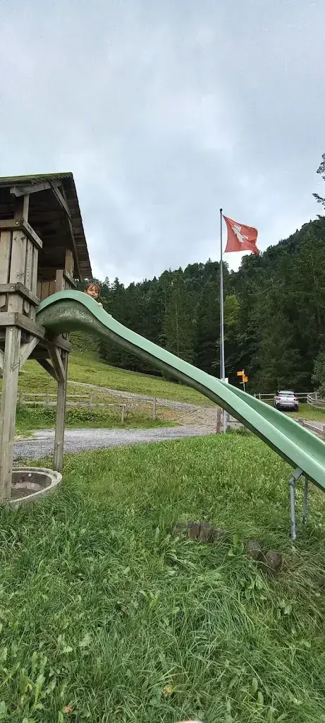 Edita Cortellazzi_Alpwirtschaft Zuger Alpli_Zug_review