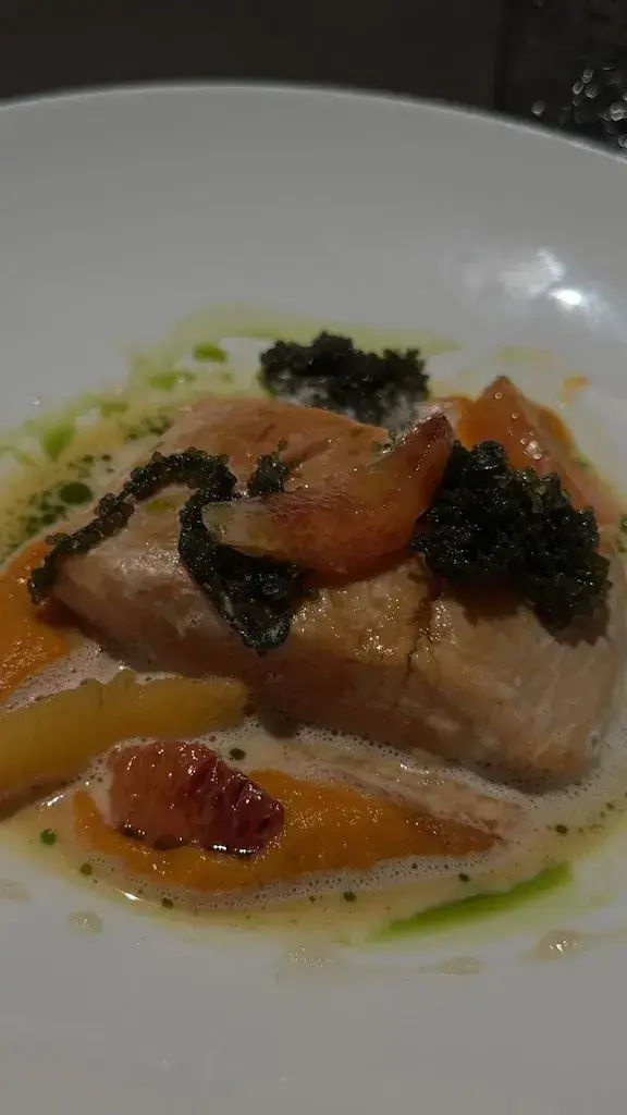 Giulia Fly_SHED.Market Zug_Zug_review