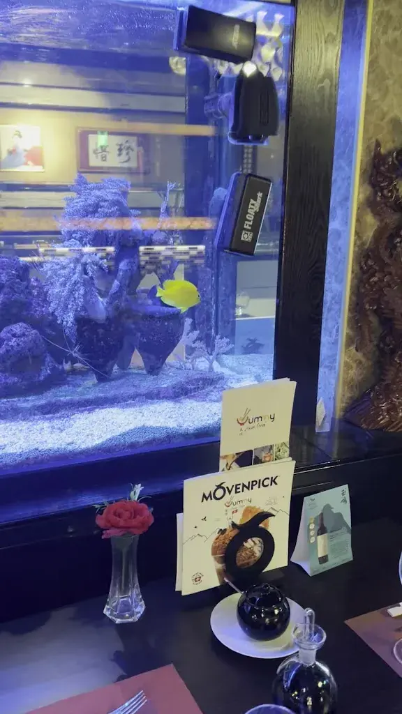 Ewa Gooral_Yummy Asia Restaurant Cham Zug_CH邮政编码: 6330_review