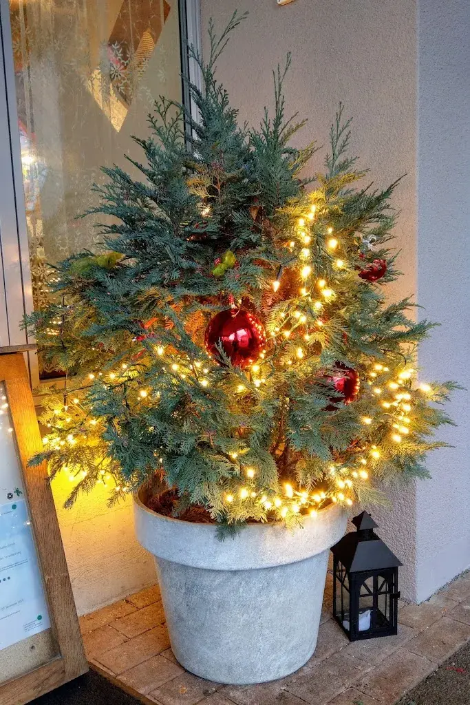 Markus “Marcosso” Murer_Dörfli-Douar_Allenwinden_review