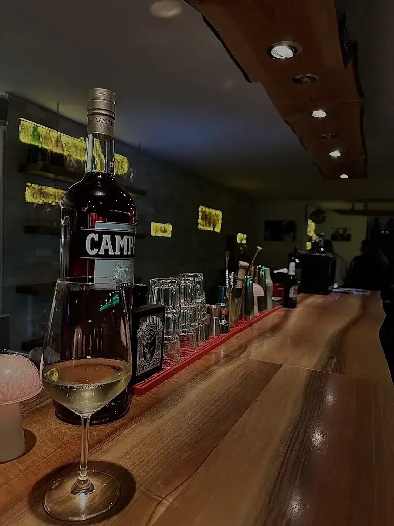 Лидия Запорожец_Imhof Bar Zug_Zug_review