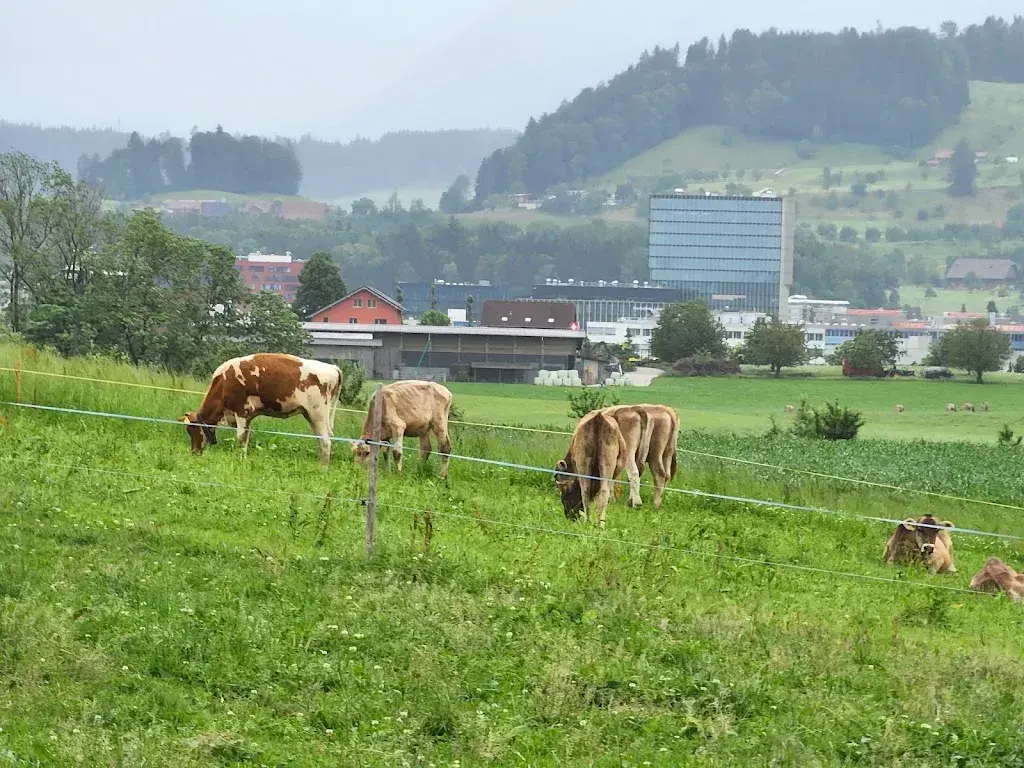 Anthony Youssef_Limi - Hütte_Hünenberg_recensione