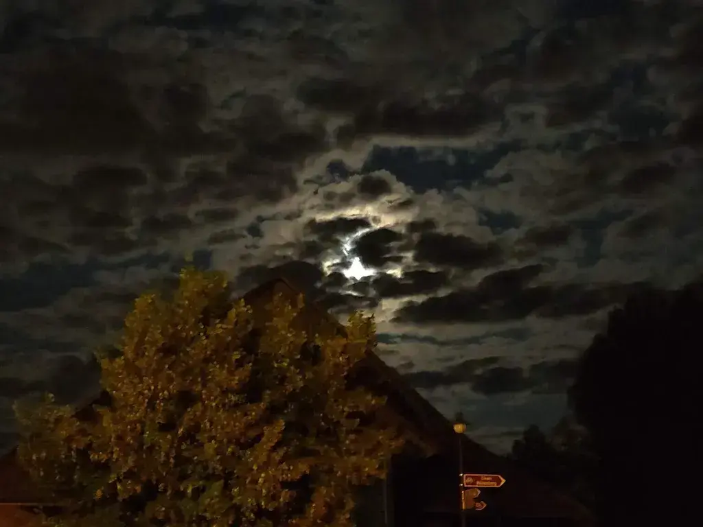 Vivek Viswanathan_zoll huus_Hünenberg_avis