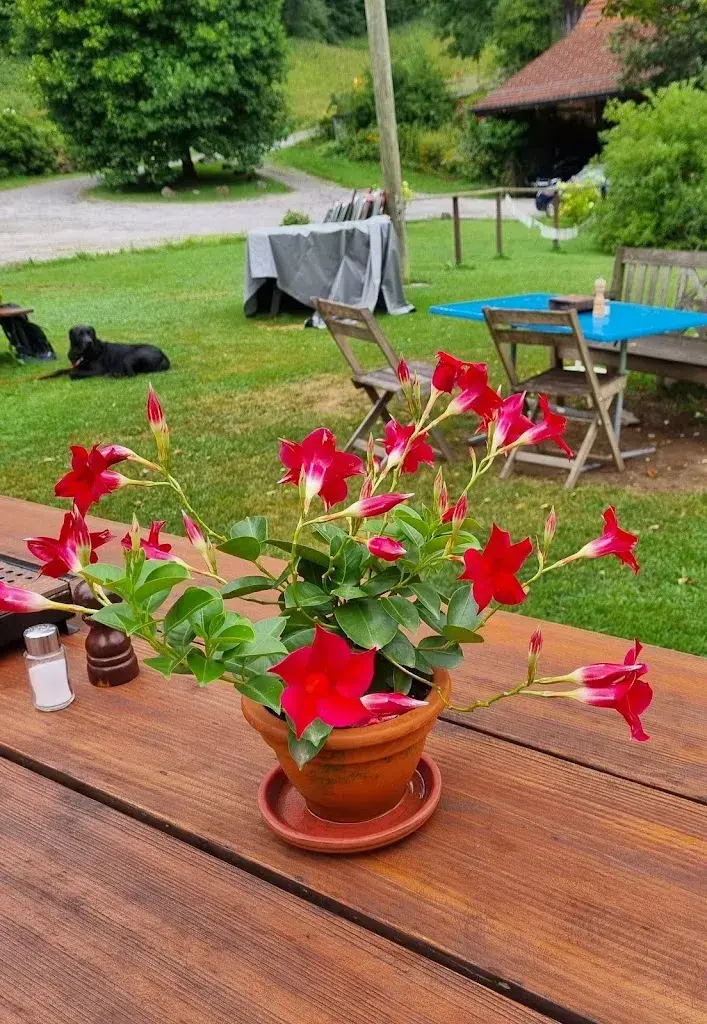 Frank Calberg_Restaurant Sihlmatt_Menzingen_avis