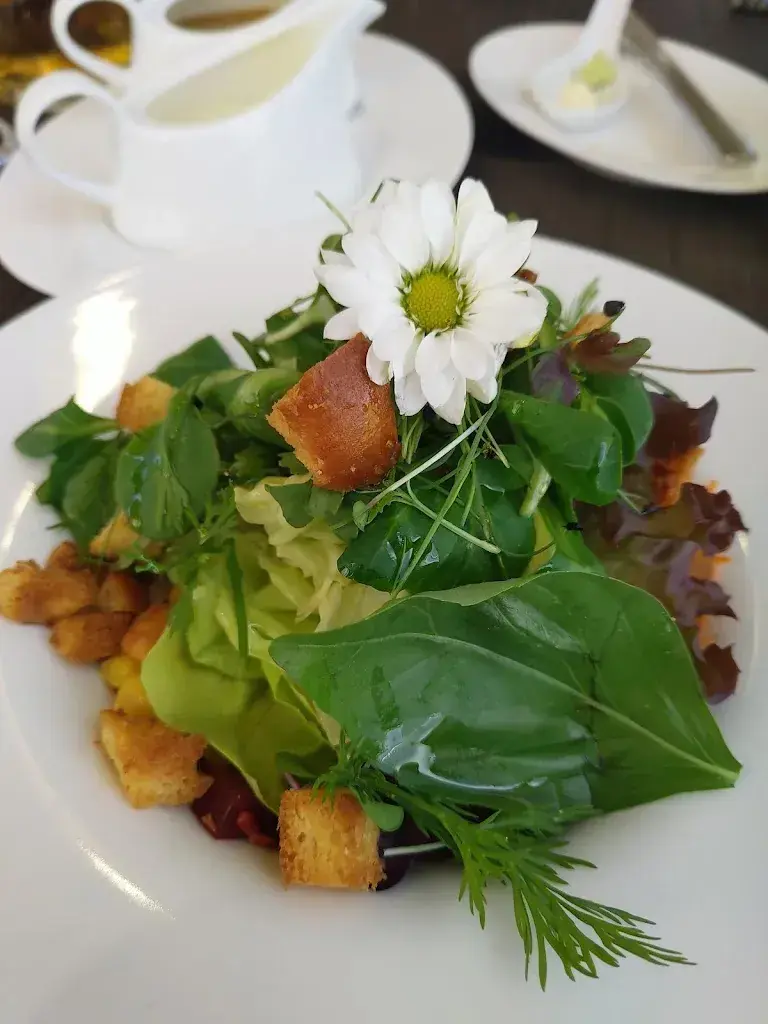 Menu_Albero Restaurants und Events_Rotkreuz_imagen_7