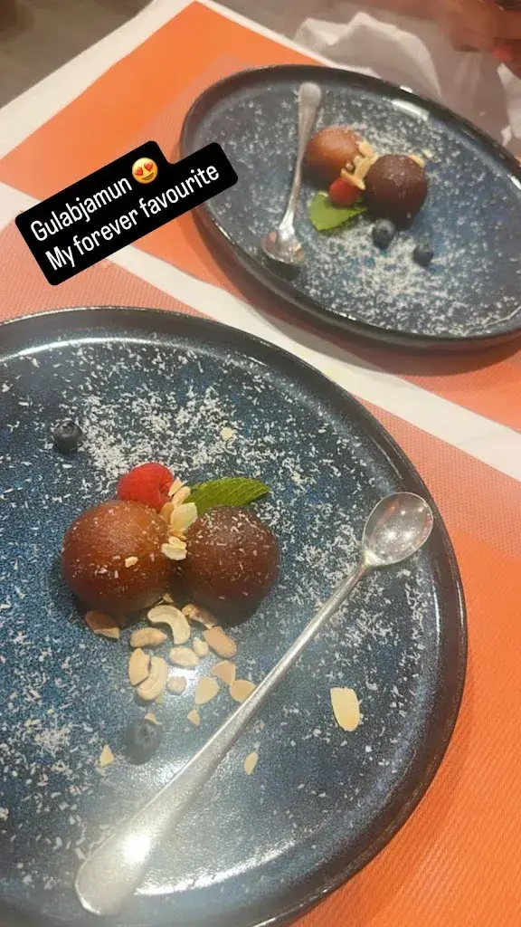 Mini Bhatia_Namaste India - Indian Restaurant_Bern_avis