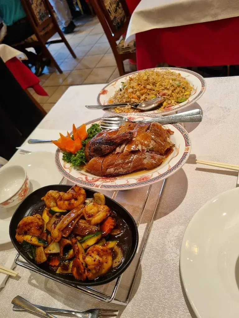 Markus Fankhauser_Dragon Schatz_Rotkreuz_review