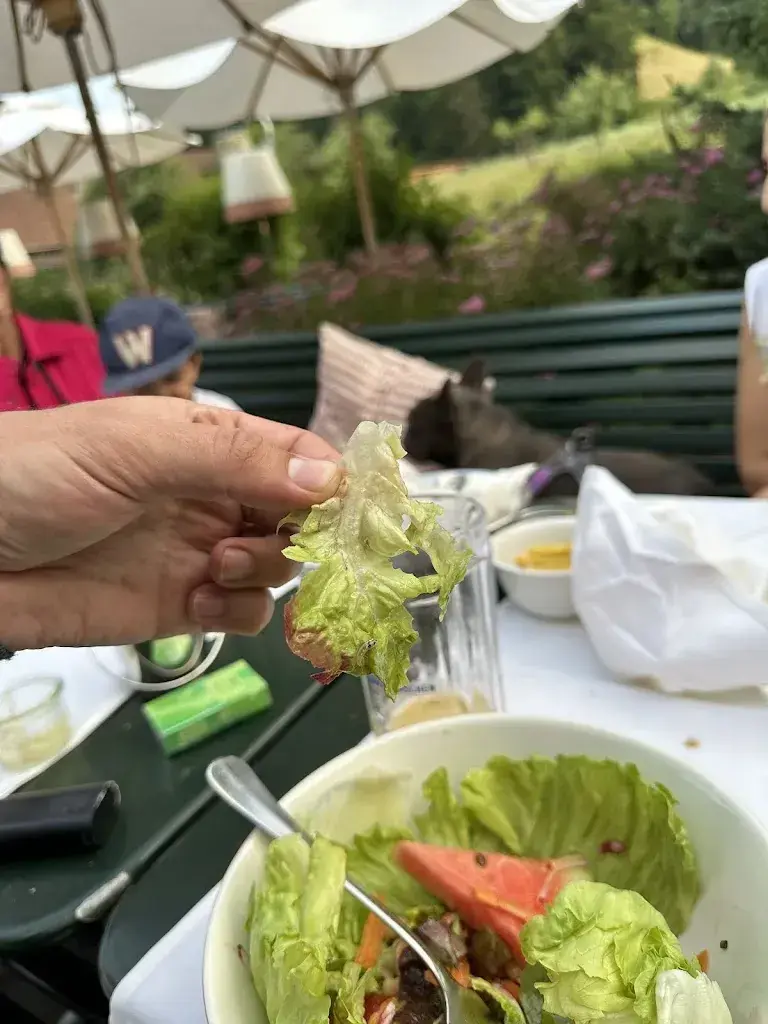 Menu_Landgasthof Breitfeld_Risch ZG_image_7