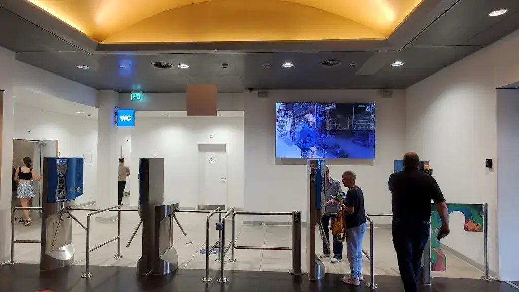 Vincent Randy Heslop_Roadhouse Rose de la Broye_Lully_review