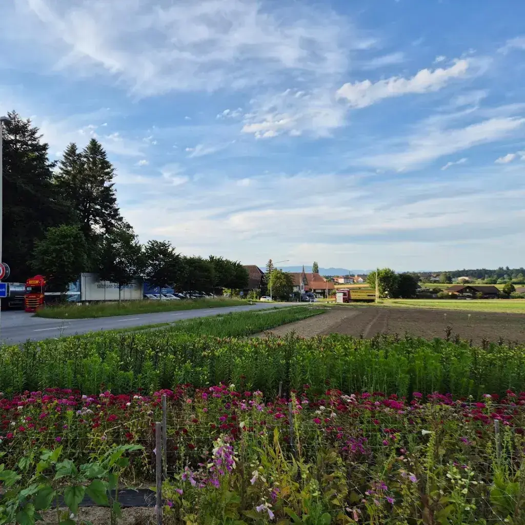 Chris Herygers_Restaurant Krone / Specksteinhit_Hindelbank_review