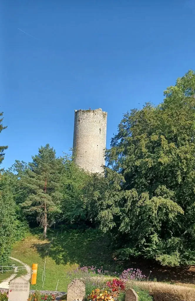 Mario Pini_Burgruine Montagny-les-Monts_Montagny_avis