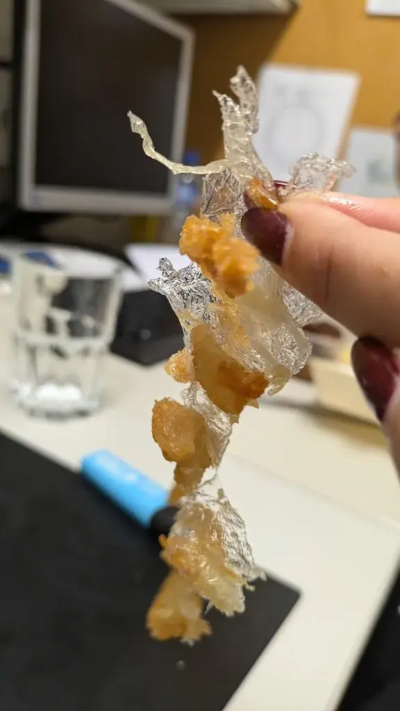 Menu_Restaurant Chinois Golden Dragon_Forel (Lavaux)_image_8