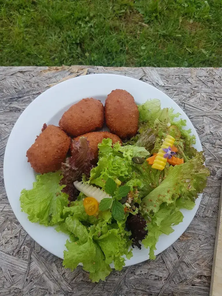 Lorrin Braddick_Goya Onda_Morlon_review