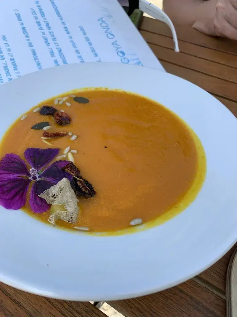 Iryna Zhurakovska_Goya Onda_Morlon_review