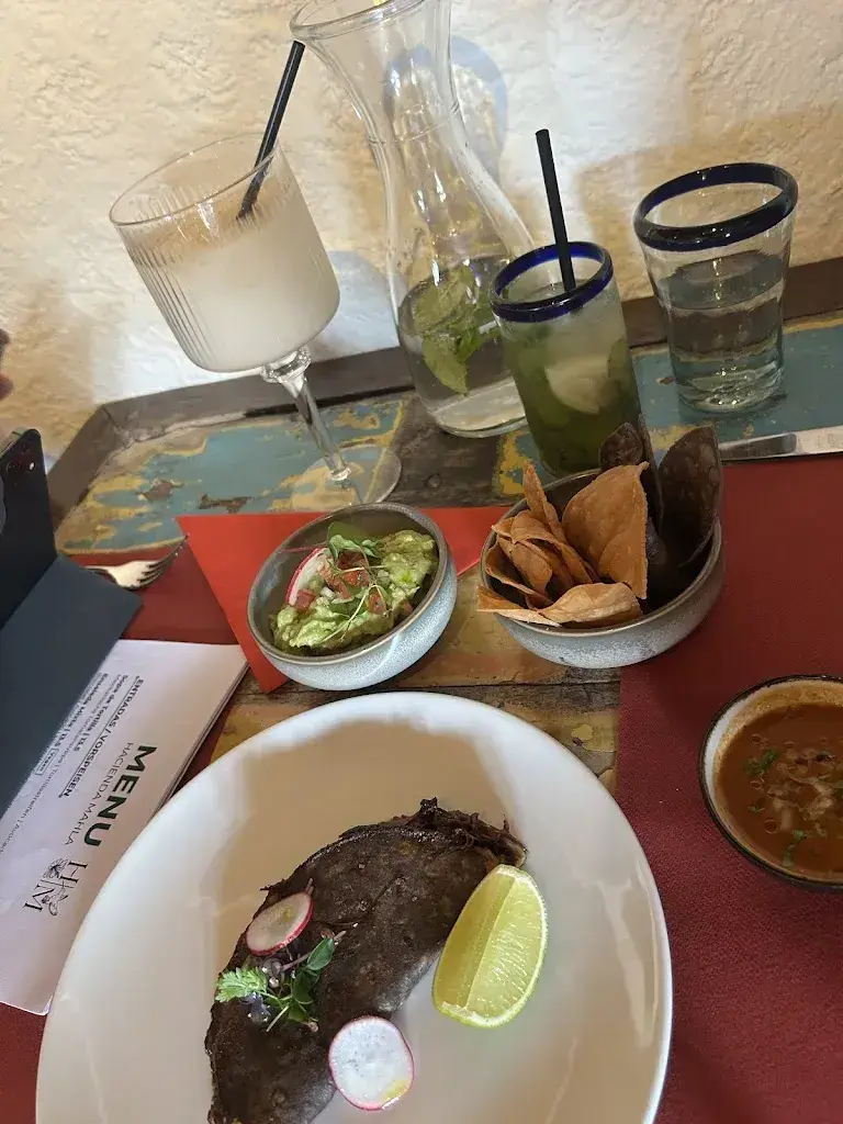 Michelle Ty_Hacienda Mahla_Allschwil_recensione