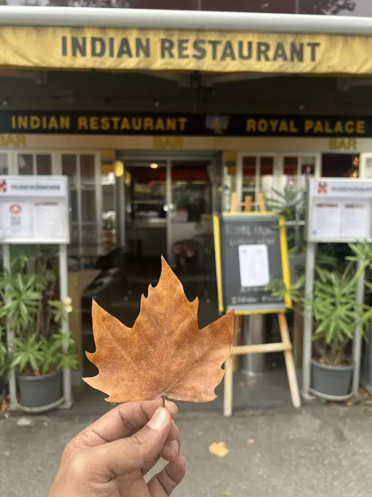 Chaitanya Bhairy_ROYAL PALACE_Basel_review