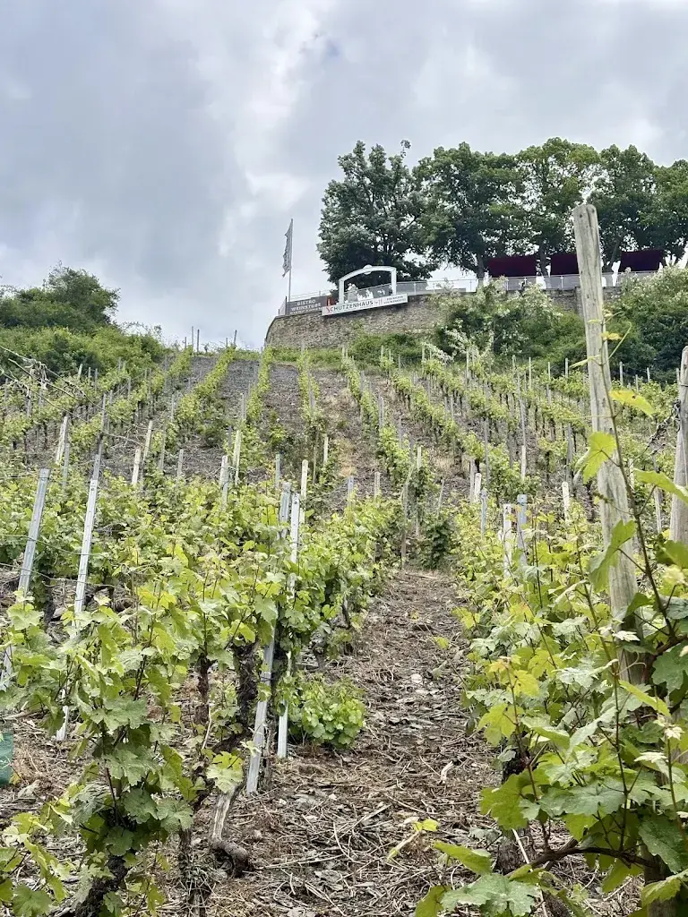 Girl on the Mosel_Schützenhaus_Germany_review