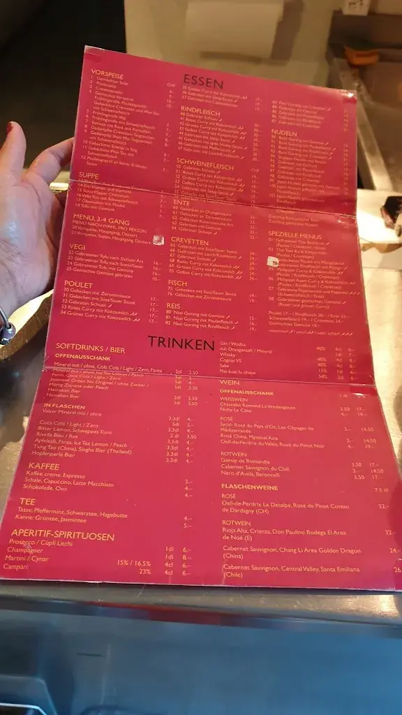 Natthida Attatippaholkun_ASIALunch Restaurant & Take Away_Bern_review
