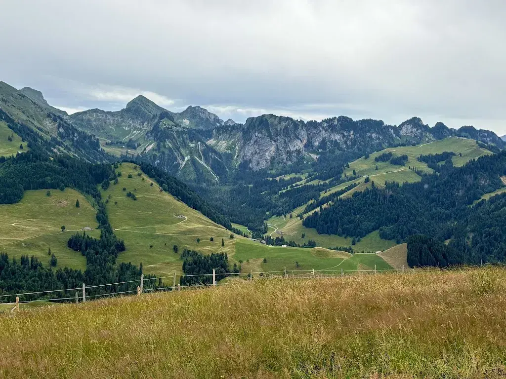 Maria-Caridad Eggler_Buvette des Gros Chaumiaux_Cerniat_review