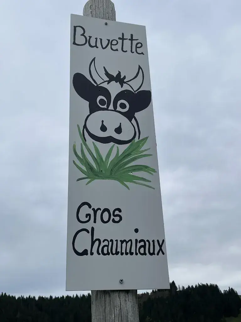 Patrice Simon.-V._Buvette des Gros Chaumiaux_Cerniat_review