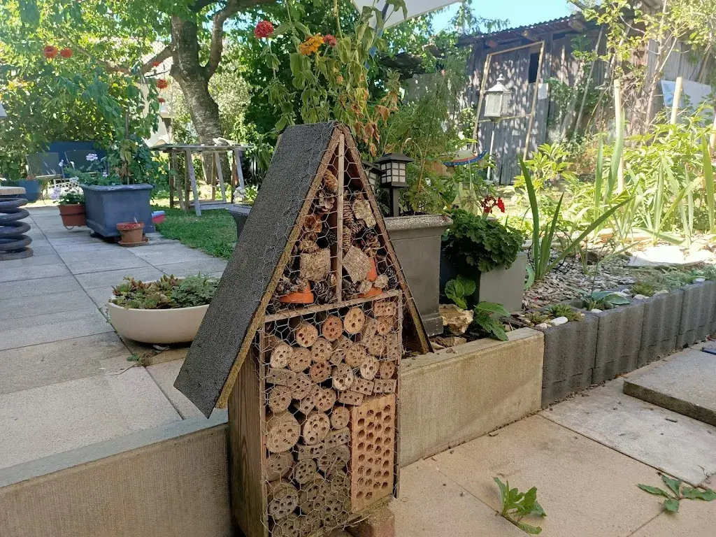 Eth Gooner in Roma_Saveur d'Éthiopie_Corpataux-Magnedens_review